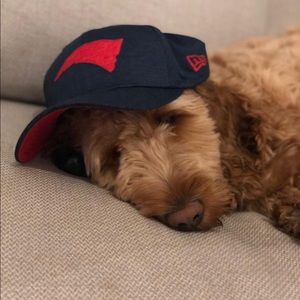 Meet your Posher, Luigi